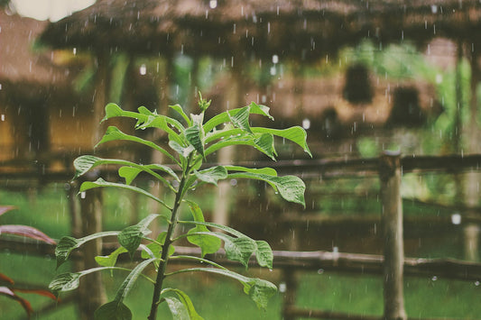 Die richtigen Werbemittel für das schlechte Wetter finden